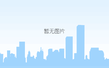  google seo